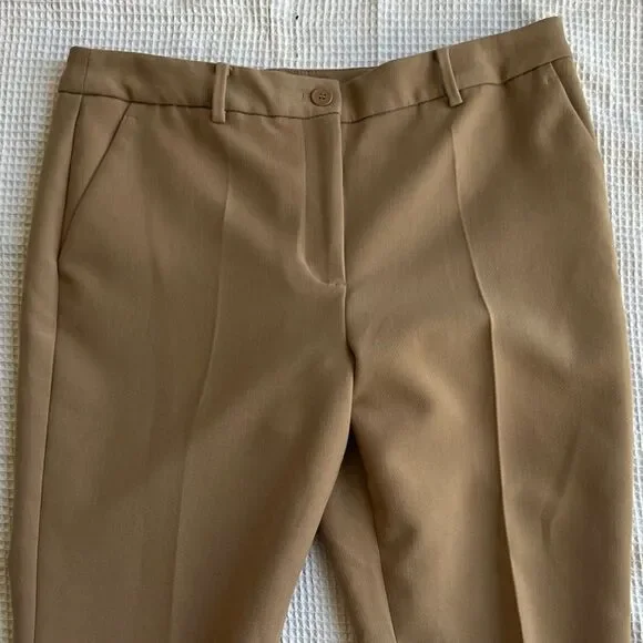Talbots Raleigh muted acorn Straight leg Light brown Tan pants trousers sz 10 - Picture 4 of 11